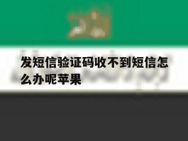 发短信验证码收不到短信怎么办呢苹果