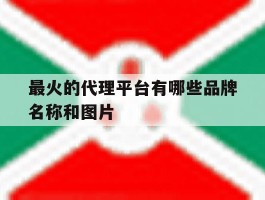 最火的代理平台有哪些品牌名称和图片