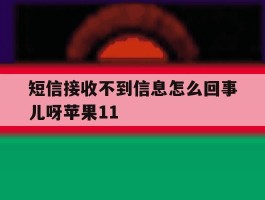 短信接收不到信息怎么回事儿呀苹果11的简单介绍
