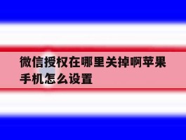 微信授权在哪里关掉啊苹果手机怎么设置