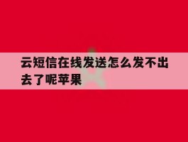 云短信在线发送怎么发不出去了呢苹果