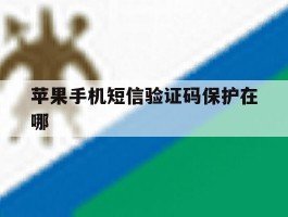 苹果手机短信验证码保护在哪
