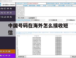 中国号码在海外怎么接收短信