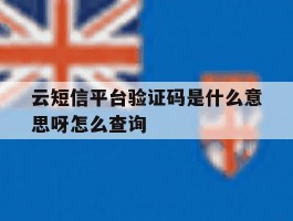 云短信平台验证码是什么意思呀怎么查询