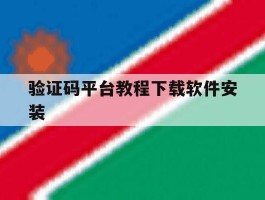 验证码平台教程下载软件安装