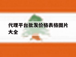 代理平台批发价格表格图片大全