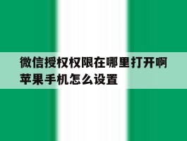 微信授权权限在哪里打开啊苹果手机怎么设置