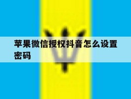 苹果微信授权抖音怎么设置密码