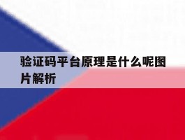 验证码平台原理是什么呢图片解析