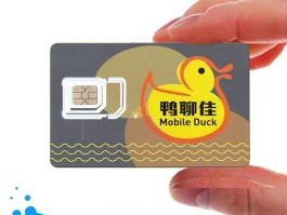 香港号码短信接收平台是什么软件呀怎么收费