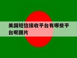 美国短信接收平台有哪些平台呢图片