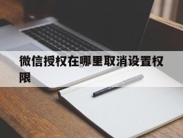 微信授权在哪里取消设置权限