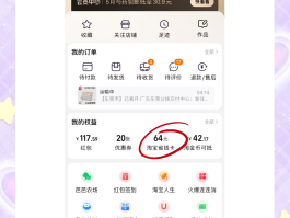 接码平台付费怎么取消订单退款呢安全吗知乎的简单介绍