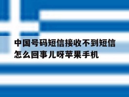 包含中国号码短信接收不到短信怎么回事儿呀苹果手机的词条