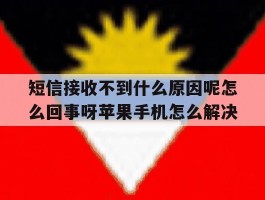 包含短信接收不到什么原因呢怎么回事呀苹果手机怎么解决的词条