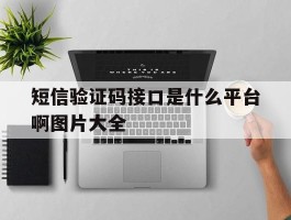 短信验证码接口是什么平台啊图片大全