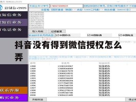 抖音没有得到微信授权怎么弄