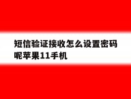 短信验证接收怎么设置密码呢苹果11手机