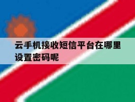 云手机接收短信平台在哪里设置密码呢