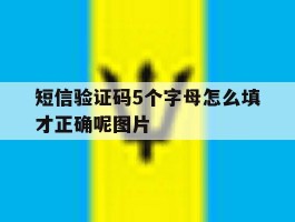 短信验证码5个字母怎么填才正确呢图片