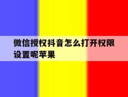 微信授权抖音怎么打开权限设置呢苹果