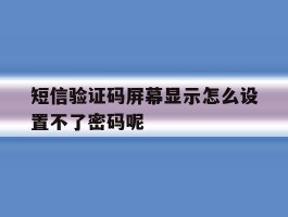 关于短信验证码屏幕显示怎么设置不了密码呢的信息