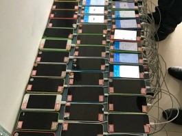 关于接码平台属于什么犯罪行为类别的案例的信息