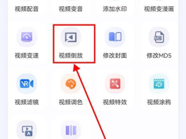 包含接码平台是干什么用的啊视频教程下载软件的词条