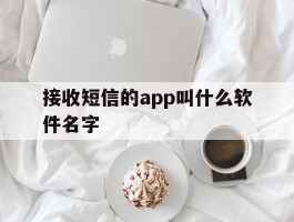 接收短信的app叫什么软件名字