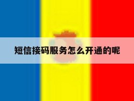 短信接码服务怎么开通的呢