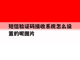 短信验证码接收系统怎么设置的呢图片