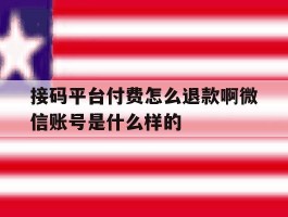 包含接码平台付费怎么退款啊微信账号是什么样的的词条