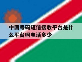 中国号码短信接收平台是什么平台啊电话多少