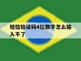 短信验证码4位数字怎么输入不了