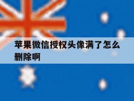 苹果微信授权头像满了怎么删除啊