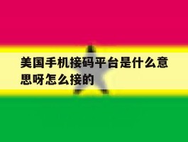 美国手机接码平台是什么意思呀怎么接的