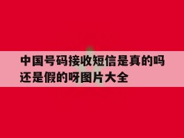 中国号码接收短信是真的吗还是假的呀图片大全的简单介绍