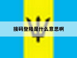 接码登陆是什么意思啊