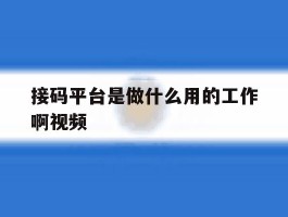 接码平台是做什么用的工作啊视频
