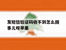 发短信验证码收不到怎么回事儿呀苹果