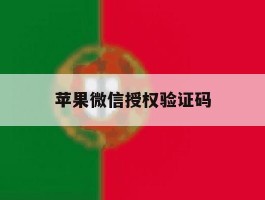 苹果微信授权验证码