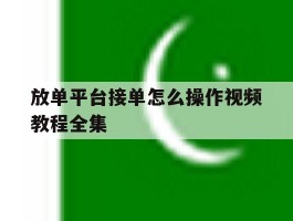 放单平台接单怎么操作视频教程全集