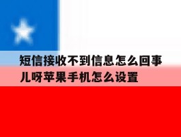 关于短信接收不到信息怎么回事儿呀苹果手机怎么设置的信息