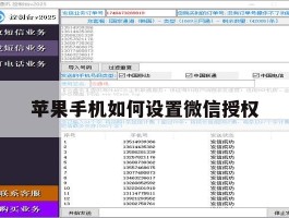 苹果手机如何设置微信授权