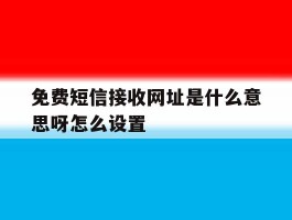 免费短信接收网址是什么意思呀怎么设置