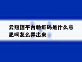 云短信平台验证码是什么意思啊怎么弄出来