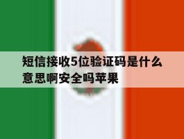 短信接收5位验证码是什么意思啊安全吗苹果