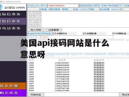 美国api接码网站是什么意思呀