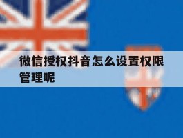微信授权抖音怎么设置权限管理呢