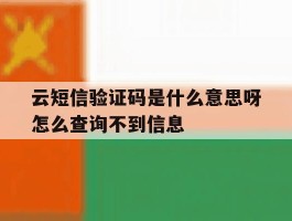 云短信验证码是什么意思呀怎么查询不到信息